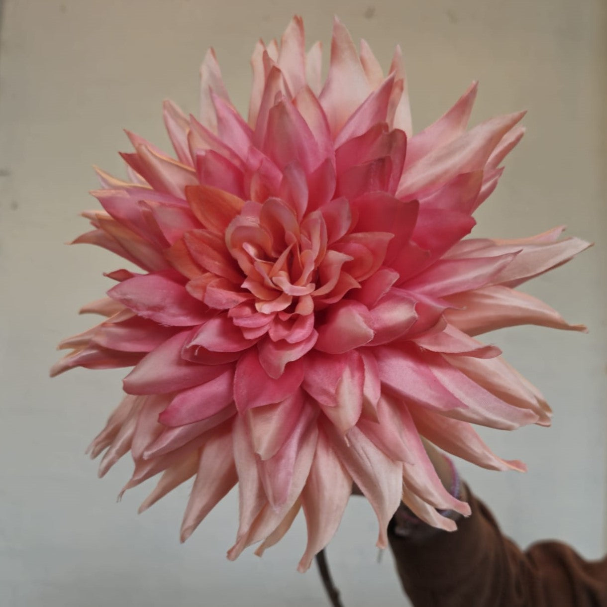 Dahlia mix 63 cm