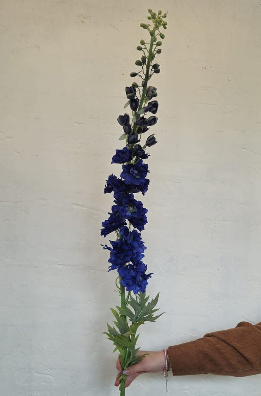 Delphinium 130cm