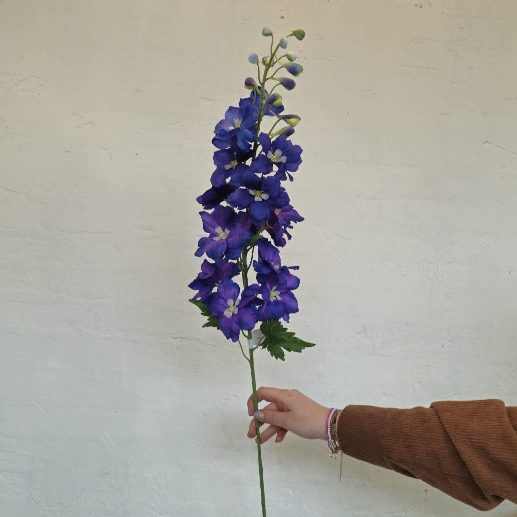 Delphinium 95 cm