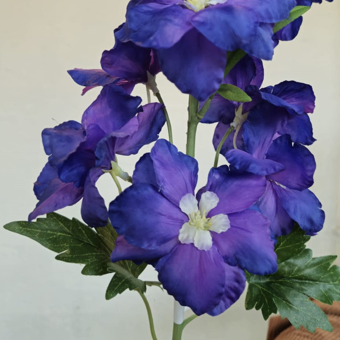 Delphinium 95 cm